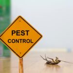 Pest Control 101: Safeguarding Your Garden from Unwanted Guests