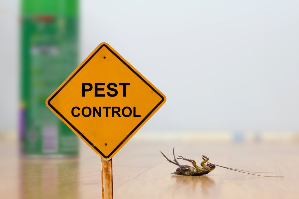 Pest Control 101: Safeguarding Your Garden from Unwanted Guests
